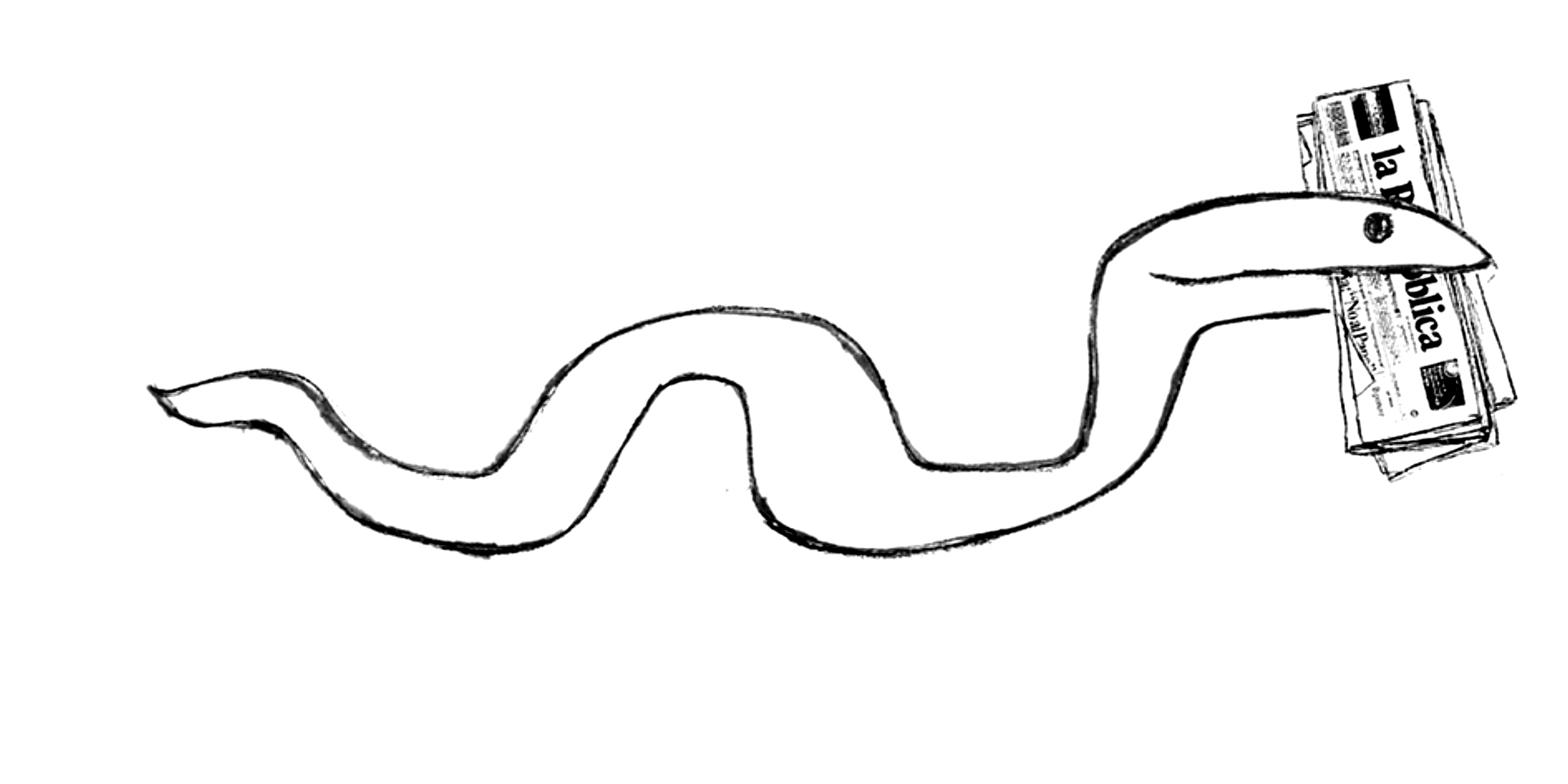 Ansa Pancreatica